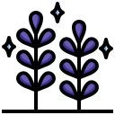 lavanda icon