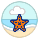 estrella de mar