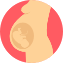 Pregnancy icon