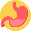 estómago icon