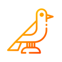 pájaro icon