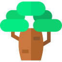 baobab icon