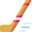 Ice hockey 