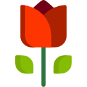 Rose icon