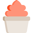 Ice cream icon