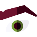 ojo icon