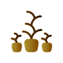 plantas icon