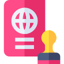 pasaporte icon