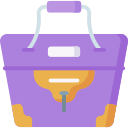 bolso icon