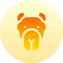 camello icon