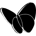 logotipo de borboleta social esboçado do msn 