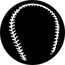 pelota de beisbol negra 