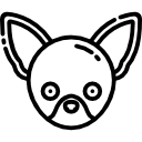 chihuahua icon