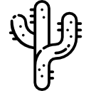 cactus icon