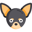 chihuahua icon