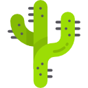 cactus icon