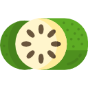 guanabana icon