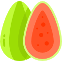 guayaba icon