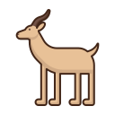 antilope 