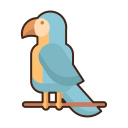 guacamayo 