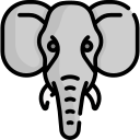 elefante