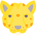 leopardo icon