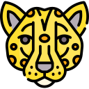 leopardo 