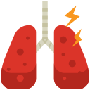 pulmones infectados icon