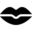 labios icon