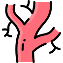 arterien 
