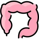 colon icon