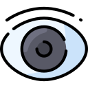 ojo icon