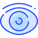 ojo icon