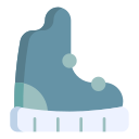 bota icon