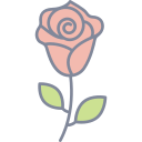 rosa icon