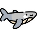 ballena icon