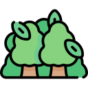 bosque icon