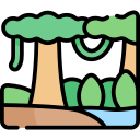 selva icon