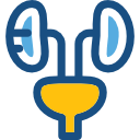 urología icon