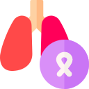 Lungs 