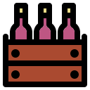 botella icon