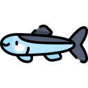 anchoa icon