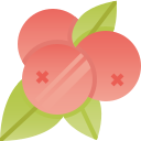 cerezas icon