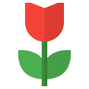 rosa icon