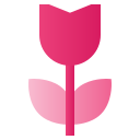 rosa icon