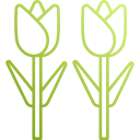 tulipanes icon