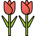 tulipanes icon