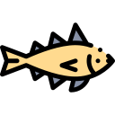 ryba dorsz ikona