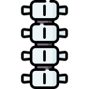 columna vertebral icon