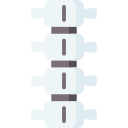 columna vertebral